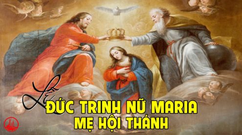 Thứ Hai tuần 9 thường niên. Thứ Hai sau lễ Hiện Xuống. Đức Trinh Nữ Maria Mẹ Hội Thánh