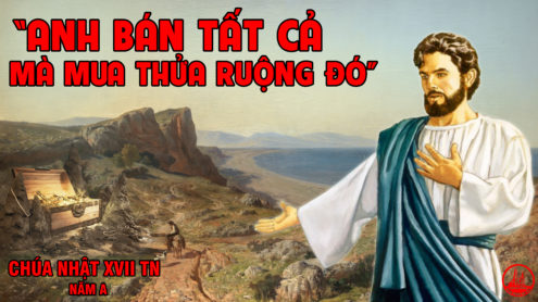 Chúa Nhật 17 Thường Niên năm A