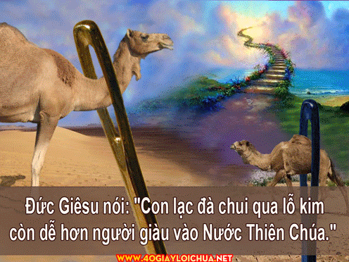 Thứ hai tuần VIII Thường niên A