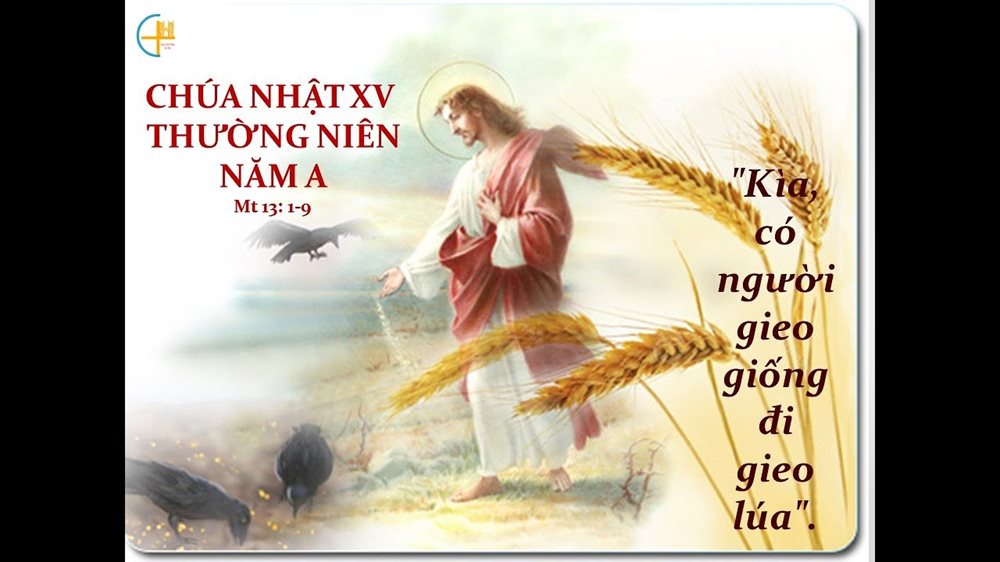 Chúa Nhật 15 Thường Niên năm A