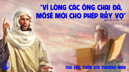 Thứ Sáu tuần 19 thường niên. – Không được phân ly.