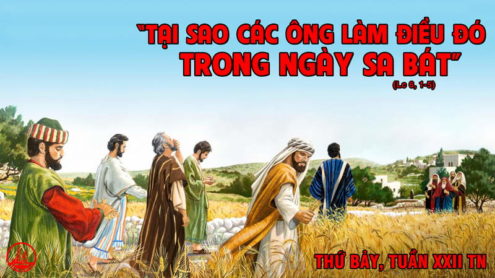 Thứ Bảy đầu tháng, tuần 22 thường niên