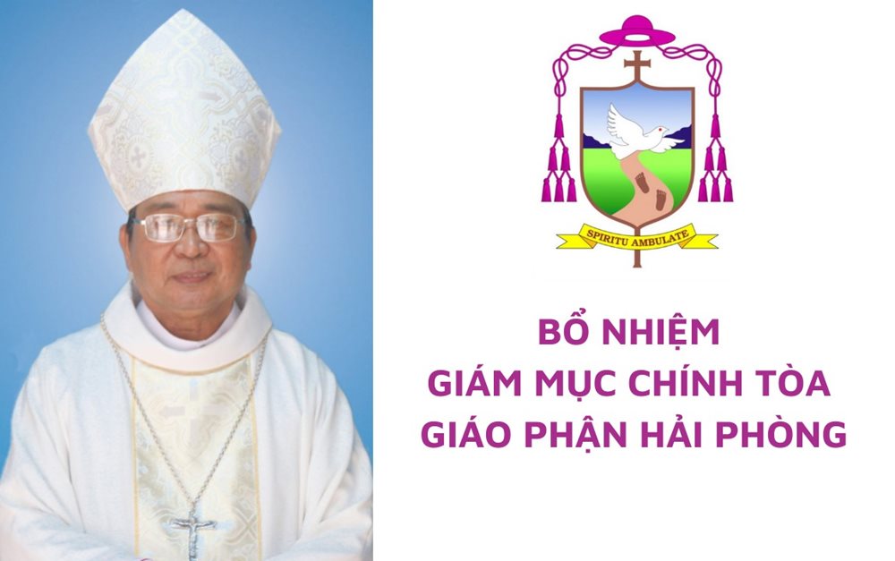 Bổ nhiệm Giám mục Chính tòa giáo phận Hải Phòng