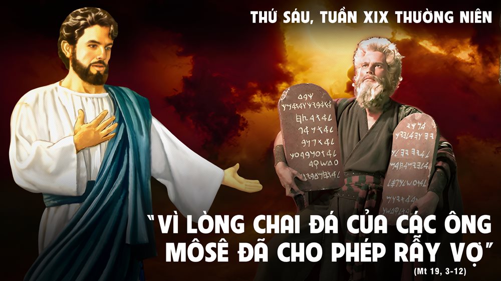 Thứ Sáu tuần 19 thường niên. – Không được phân ly.