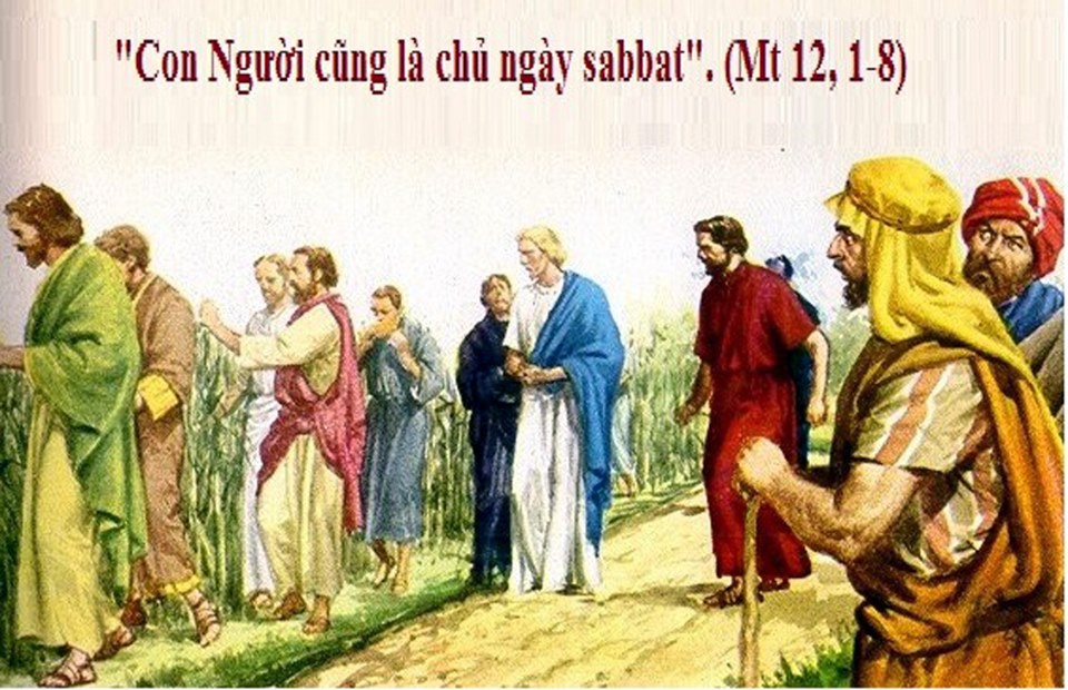 Thứ sáu tuần 15 thường niên