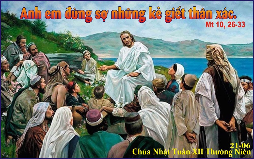 Chúa Nhật 12 Thường Niên