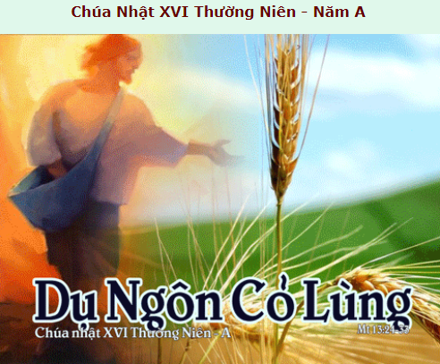 Chúa Nhật 16 Thường Niên năm A