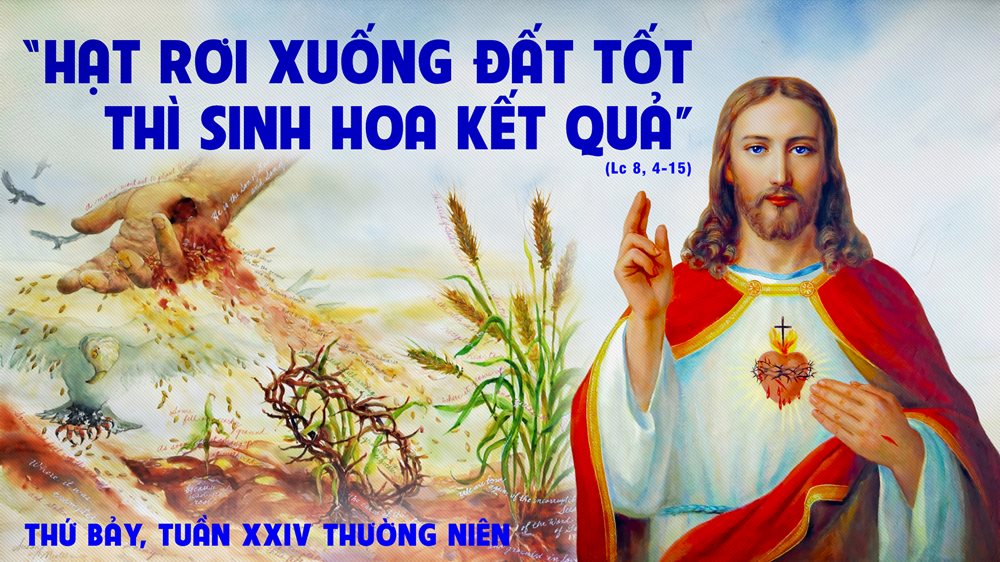 Thứ Bảy tuần 24 thường niên – Thánh Piô Pietrelcina, linh mục. Lễ nhớ. – Dụ Ngôn Người Gieo Giống.