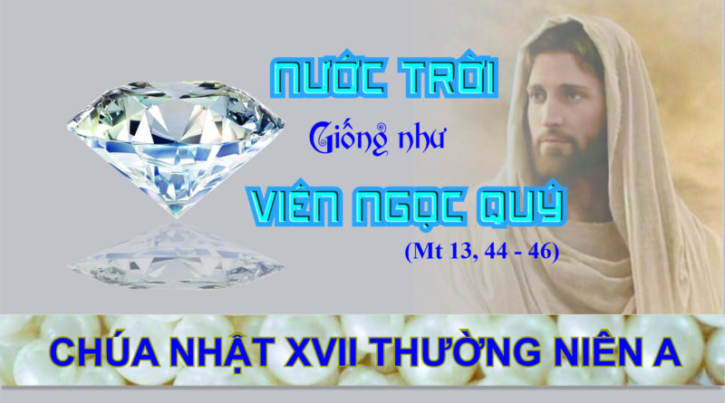 CHÚA NHẬT 17 THƯỜNG NIÊN năm A – Kho tàng, ngọc quý.