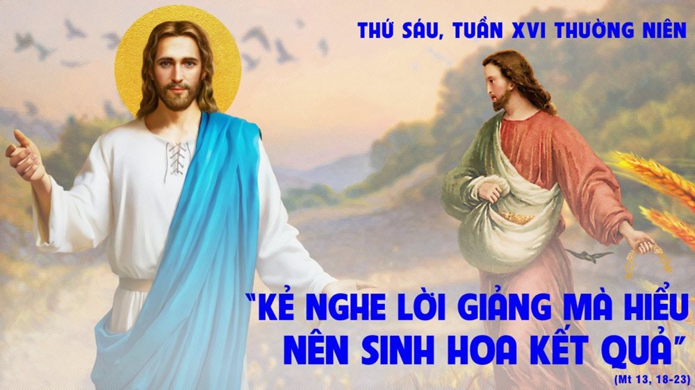 Thứ Sáu tuần 16 thường niên. – Hạt được một trăm, hạt được ba mươi...