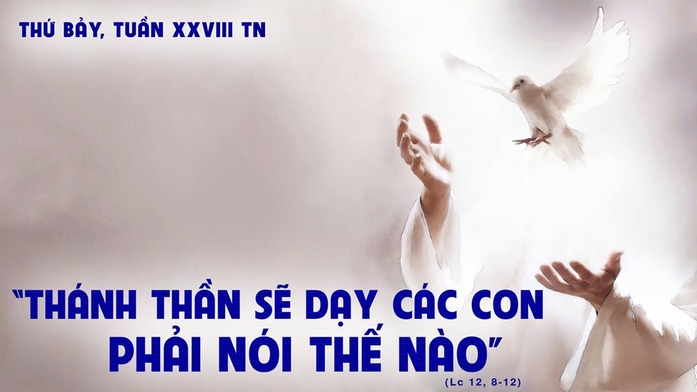 Thứ Bảy tuần 28 thường niên. – Thánh Thần sẽ dạy.