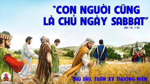 Thứ Sáu tuần 15 thường niên.– Con Người là chủ ngày Sabbat.