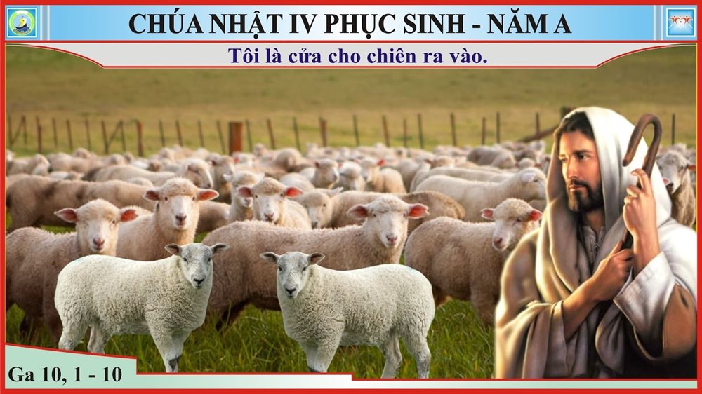 Chúa Nhật tuần 4 PHỤC SINH năm A